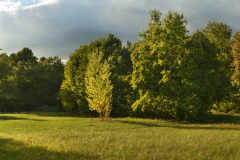 092518_1_panorama