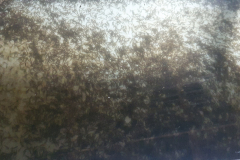 20210423_125109